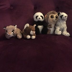 Giraffe, raccoon, panda, cat, hedgehog, cat